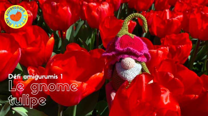 Article du défi amigurumis sur le modèle d'amigumi gnome tulipe de Pampino